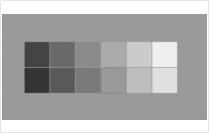 1755767683610772.jpg 925967c18921a8a6c1d481ba63ef2b35_1754990894455724.jpg